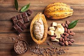 cacao4